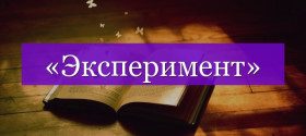 Система оценки гражданами качества и условий оказания услуг организациями социальной сферы с использованием ЕПГУ..